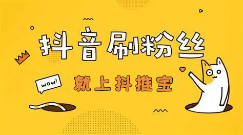 怎么买抖音粉丝 在线涨粉平台上的粉丝有假粉吗? 在线涨粉平台 抖推宝 小熊代刷网 第1张 怎么买抖音粉丝 在线涨粉平台上的粉丝有假粉吗? 在线涨粉平台 抖推宝 小熊代刷网 第1张