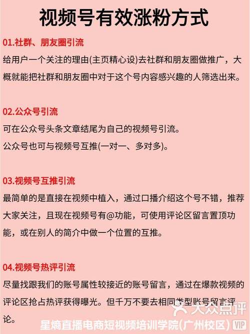 标题：视频号粉丝激增实战指南：7天突破1000有效粉的精准运营策略