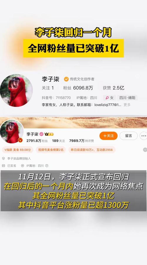 ### 标题:抖音粉丝市场大起底:1000粉丝背后的价格迷雾与真相揭秘