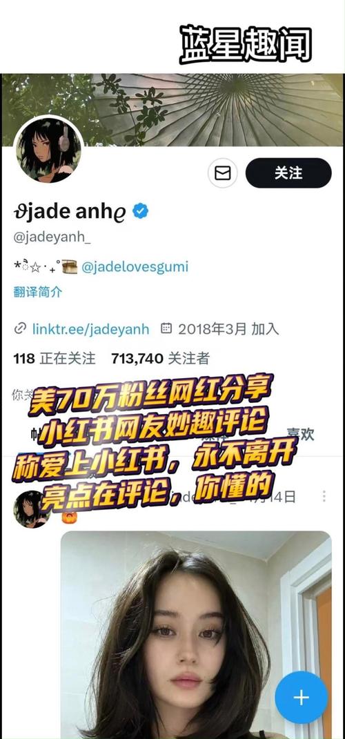 小红书买粉链接使用心得分享,助力你成为网红之路