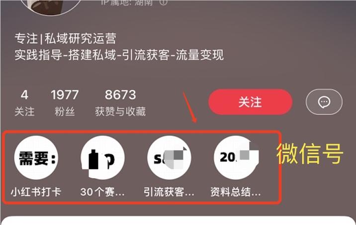 标题：小红书粉丝购买平台：解锁内容影响力的新引擎，精准触达千万级用户圈层