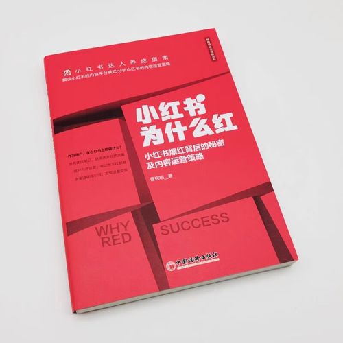 ### 标题：解密小红书达人养成密码：粉丝增长与商业价值的深度博弈