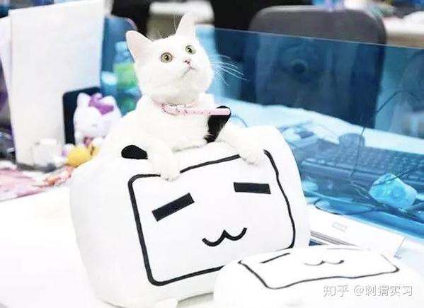 bilibili点赞飙升秘诀:探索专业刷赞网站!