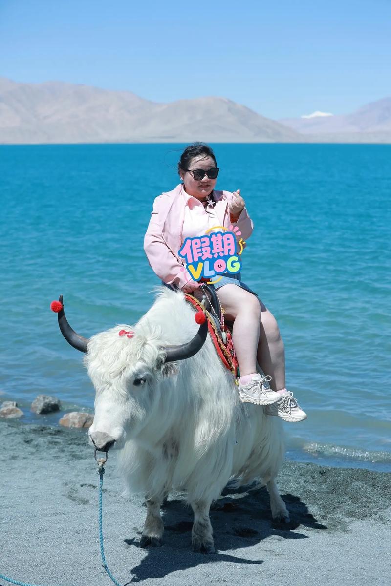 标题：抖音达人的日常：在镜头内外探寻真实自我的多彩旅程