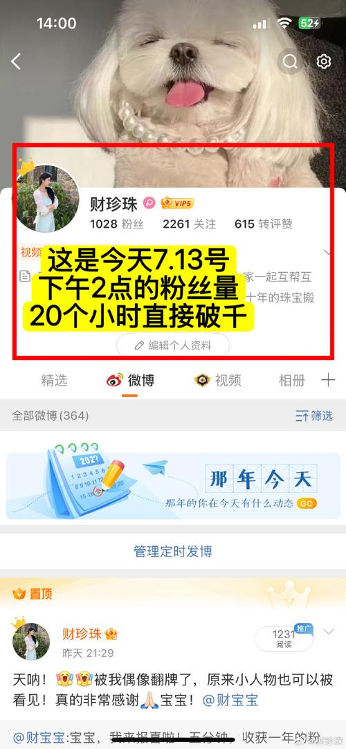 粉丝增长神器：微博买粉链接，你试过了吗？