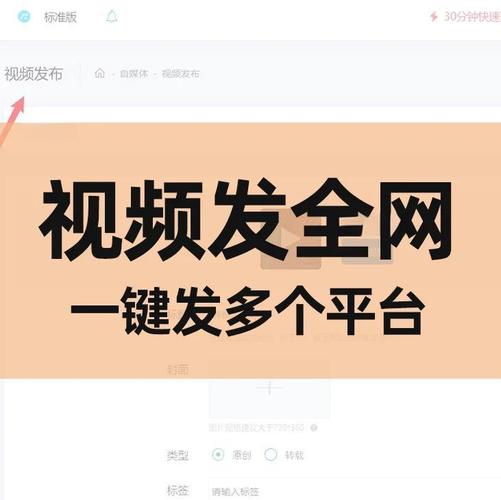 b站视频走红秘诀大公开：高效刷播放量插件助你轻松登顶。