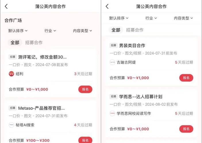 ### 标题：小红书千粉账号：价格迷雾下的真实价值几何？一场社交媒体新势力的深度解码