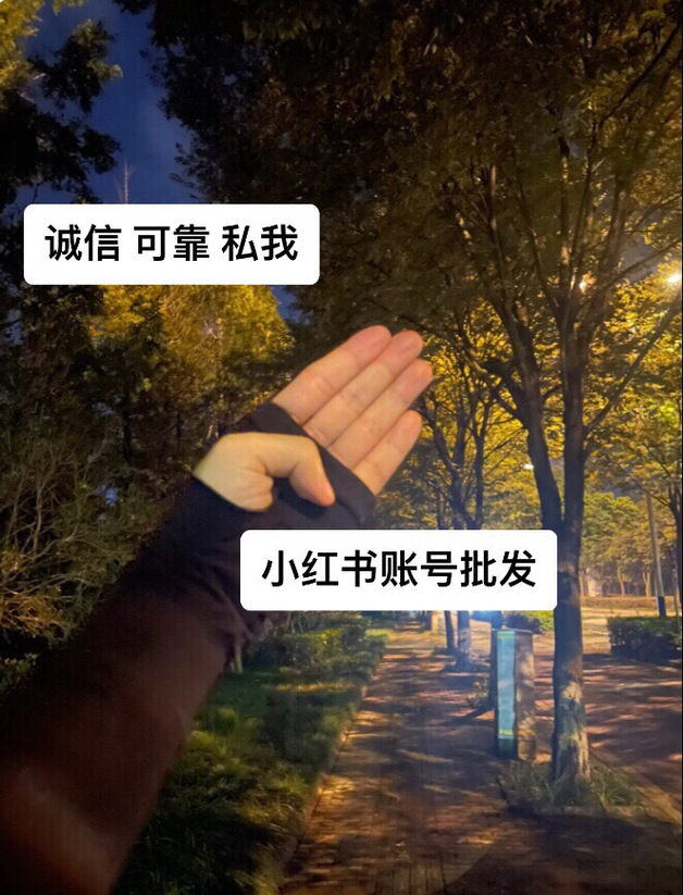 ### 标题：小红书千粉账号：价格迷雾下的真实价值几何？一场社交媒体新势力的深度解码