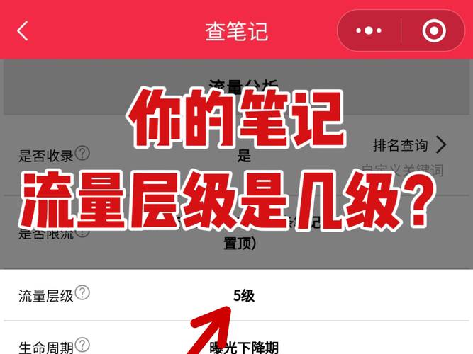 标题：小红书互粉平台：解锁流量密码，让你的影响力实现指数级增长