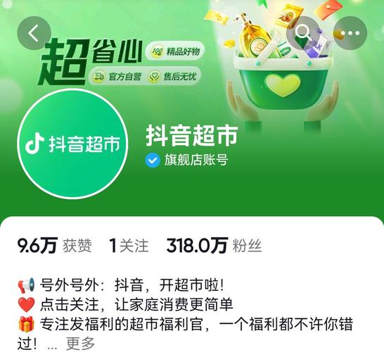 独家推荐:抖音刷赞平台低价优质服务体验。