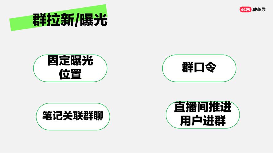 标题：玩转社交媒体营销新赛道：解锁小红书粉丝购买平台的深度运营指南