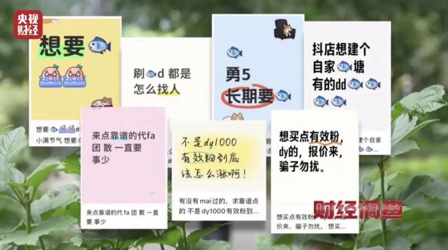 ### 标题：小红书社交新生态：用户自购小号现象背后的平台进化与社交逻辑重构