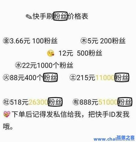 快手刷粉软件,快速打造网红之路