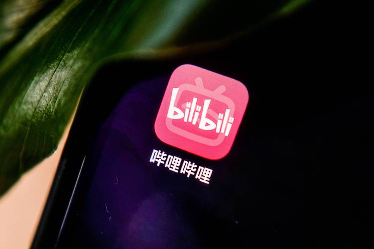 揭秘b站视频背后的增长神话：神奇的刷播放量插件揭秘