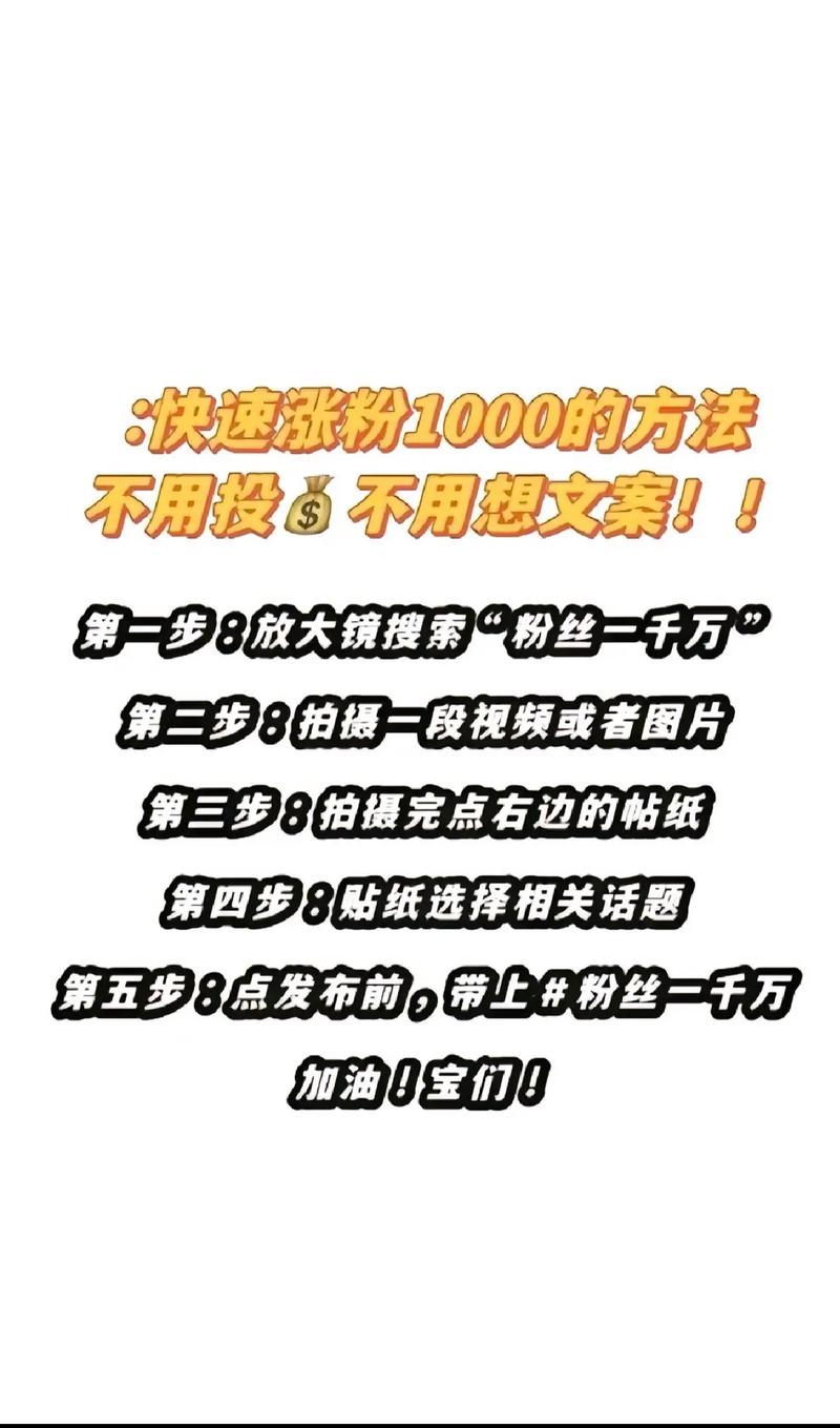 标题：从零到千：一个普通人的抖音逆袭日记——真实粉丝增长的1000个日夜