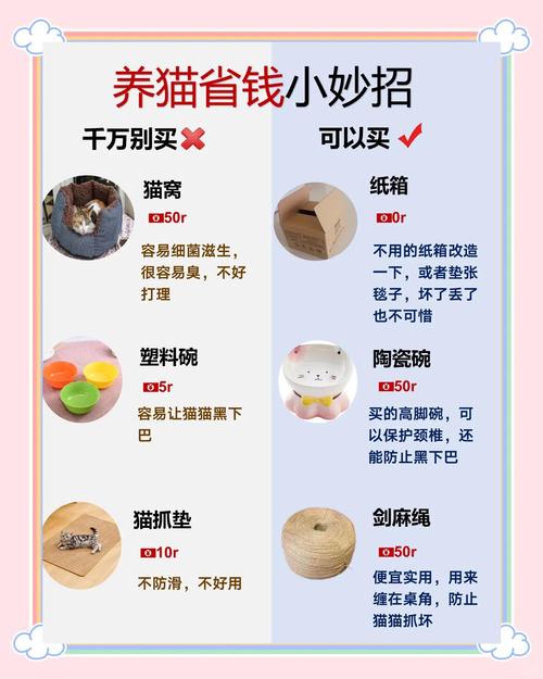 标题：抖音养猫涨粉秘籍：从零到万粉的实战攻略，让你的萌宠成为流量担当！