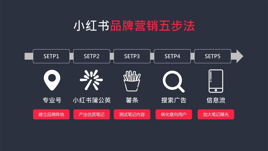 标题:零基础玩转小红书:从零粉丝到达人的破局指南(附实操工具包)