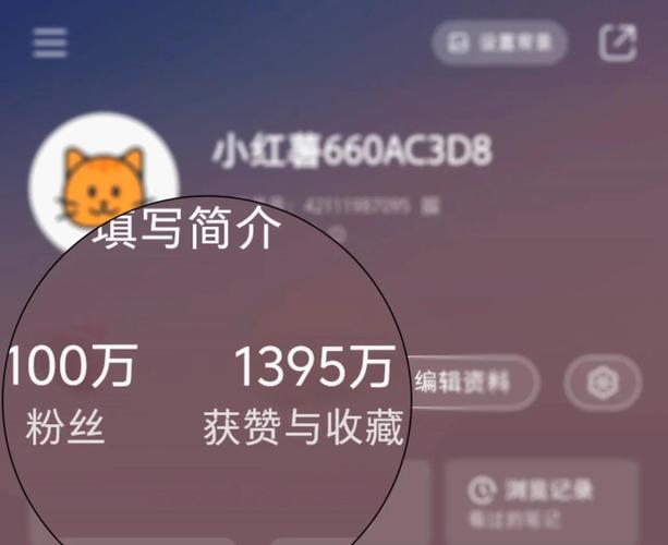 升级你的快手粉丝量，电脑版刷粉软件来帮忙！