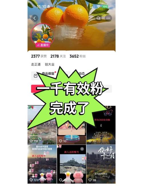 标题:小红书涨粉点赞速成秘籍:真实策略与避坑指南(非刷量版)