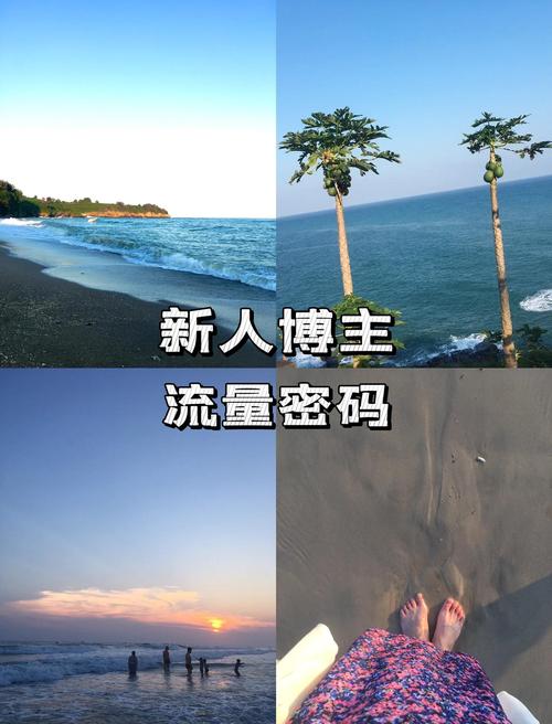 ### 标题:小红书博主必看!解锁粉丝下单平台新玩法,让转化率飙升的秘密武器