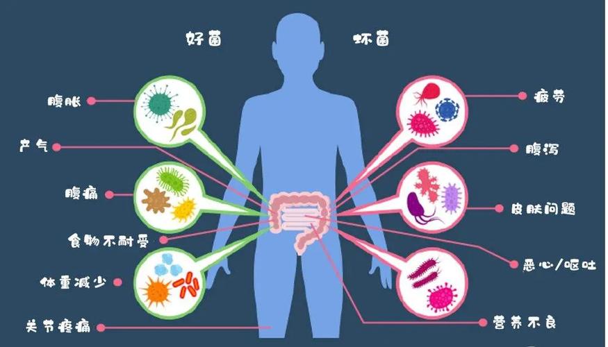 # 破除误区:哔哩哔哩粉丝增长需遵循健康生态法则