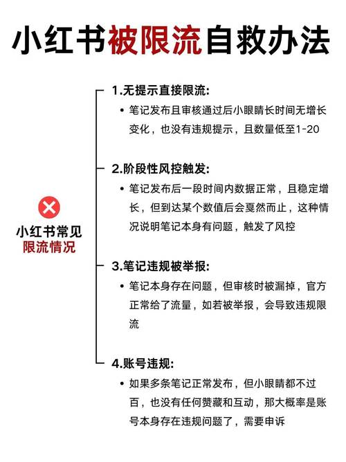 标题:解锁流量密码:小红书粉丝自助购买全攻略,让你的内容影响力飙升!