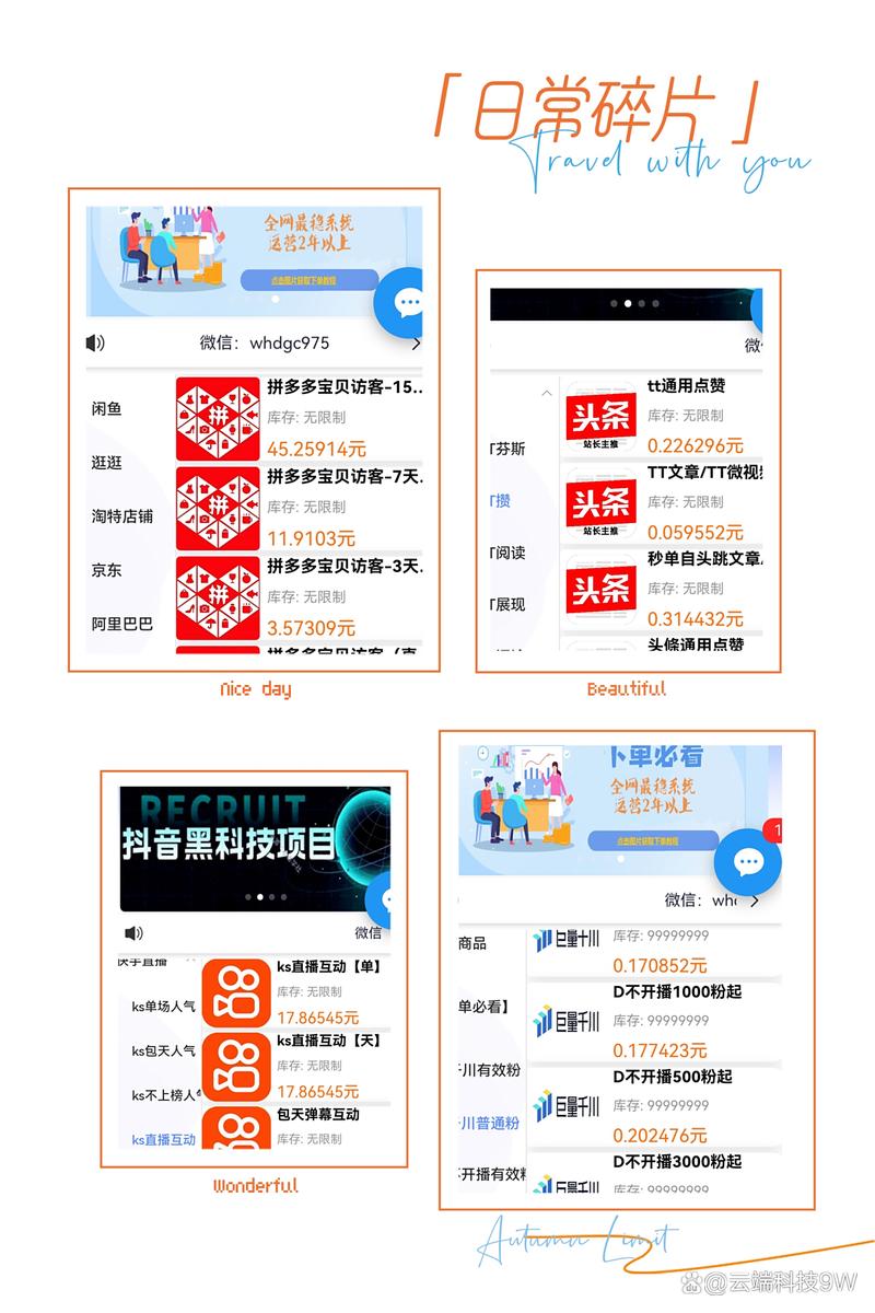 粉丝自助平台:抖音账号的流量引擎