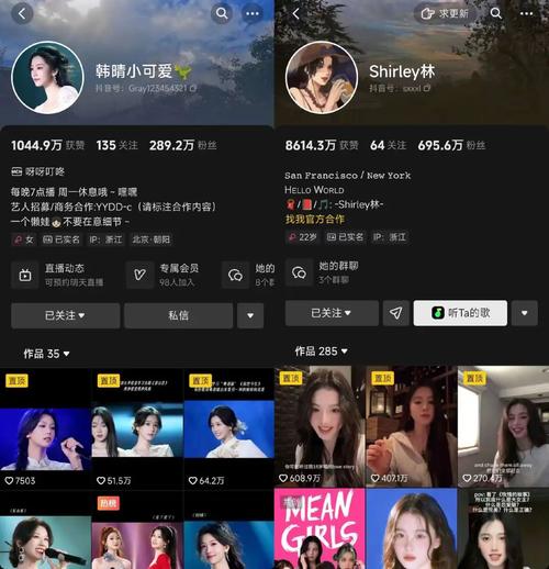 粉丝自助平台:抖音账号的流量引擎