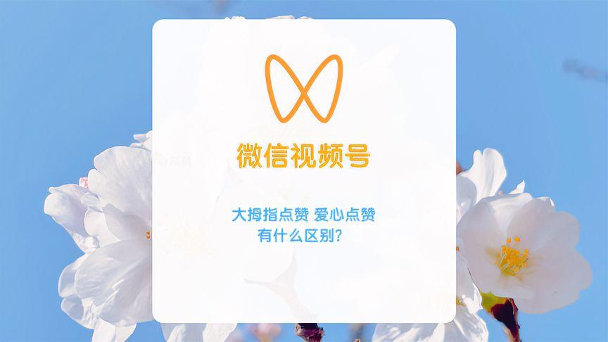 视频号的秘密武器：自动点赞功能深度解析。