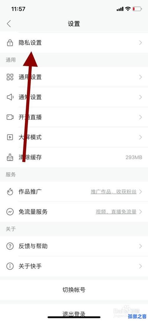 快手作品瞬间爆红秘诀:借助专业的在线刷赞平台进行推广!