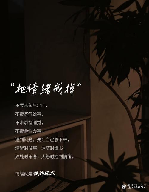 # 警惕“捷径”！视频号成长需脚踏实地，远离刷粉陷阱