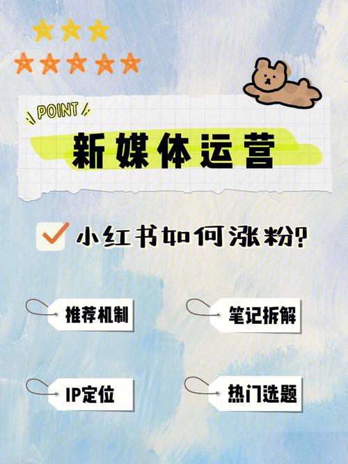 带你走进小红书买粉网站，解锁新粉丝时代