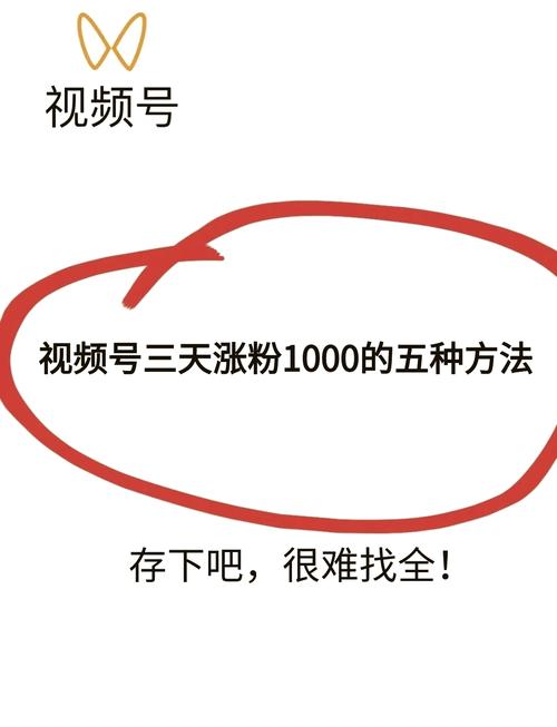 # 揭秘视频号粉丝增长“伪黑科技”：所谓快速刷1000有效粉，实则暗藏危机