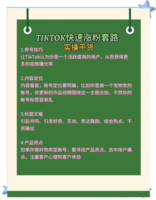 tiktok如何快速涨粉标题,TikTok如何快速涨粉——全方位策略与技巧!
