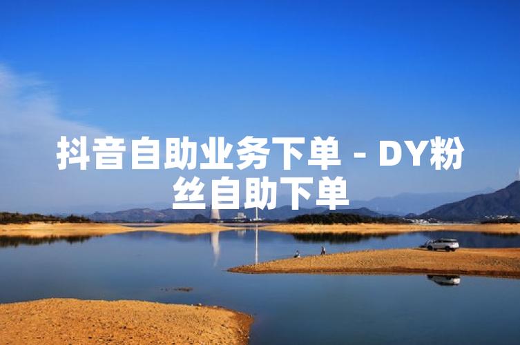 dy人气自助下单平台
