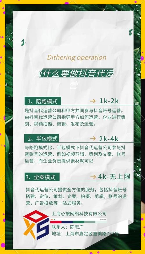 抖音自助平台业务下单最低,抖音自助平台业务下单最低：深度解析与体验分享!