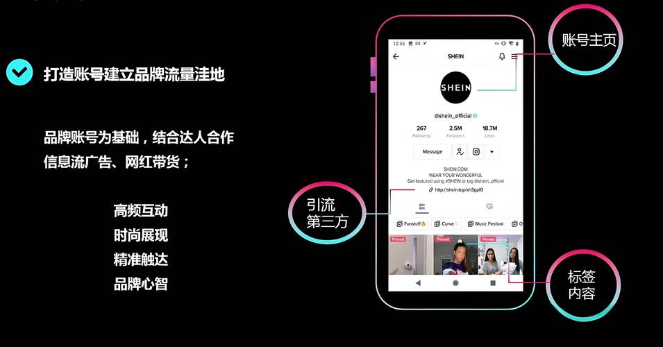 国外tiktok涨粉平台,国外TikTok涨粉平台：策略、技巧与成功案例!