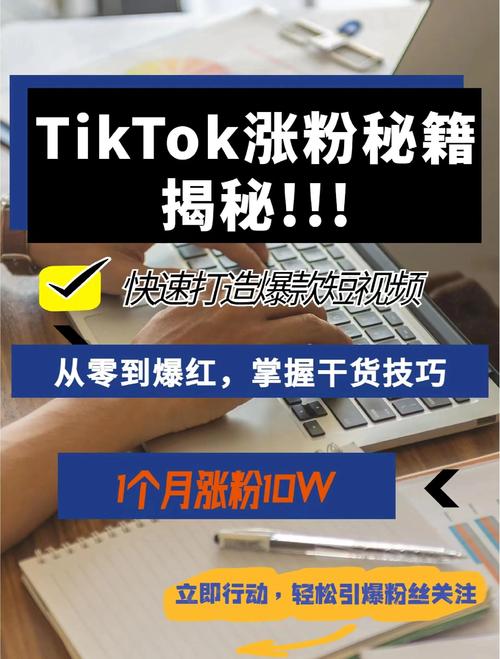 国外tiktok涨粉平台,国外TikTok涨粉平台：策略、技巧与成功案例!