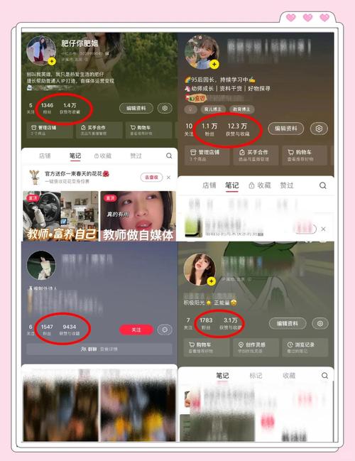 刷一万粉抖音,如何有效刷取一万粉丝在抖音平台——深度分析与策略分享!
