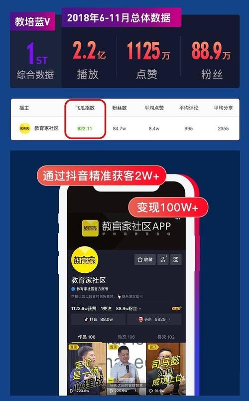 免费抖音播放量代刷网,探讨免费抖音播放量代刷网背后的真相与挑战!