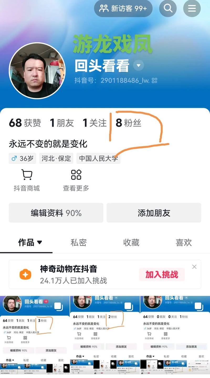 抖音刷关注粉,关于抖音刷关注粉的深度探讨!