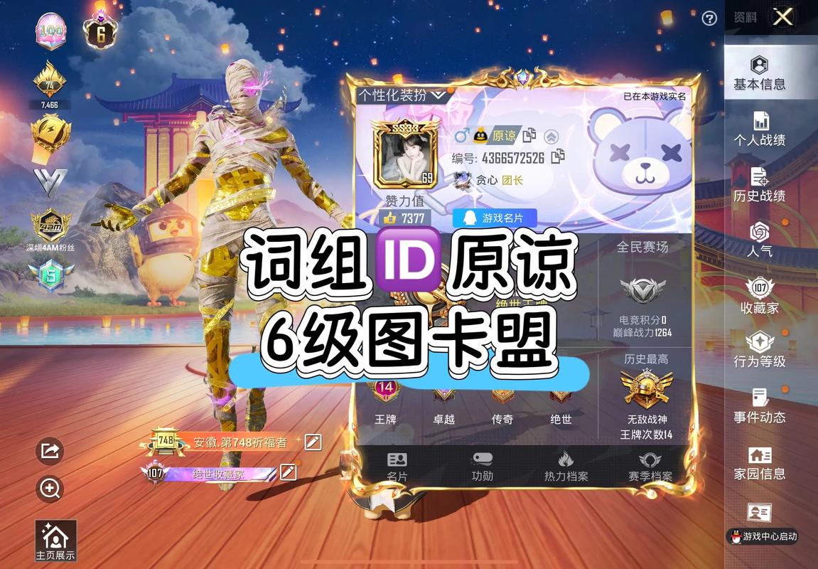 和平精英挂卡盟在线自助下单,探索与体验和平精英挂卡盟：在线自助下单的魅力之旅!