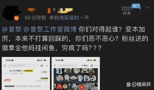 抖音刷播放量,抖音刷播放量的真相与反思!