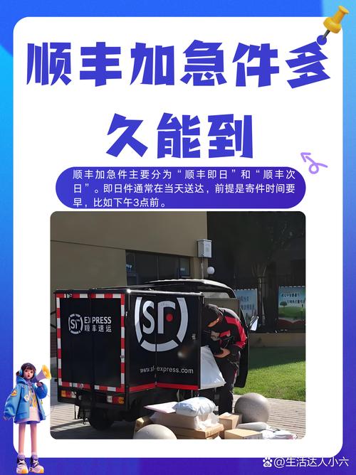 顺丰自助下单,顺丰自助下单：便捷高效的新时代物流体验!