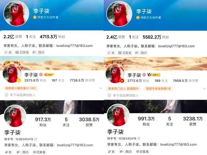 快手粉丝飙升，官方刷粉软件助你实现梦想。