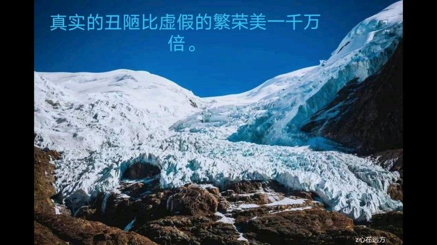 # 哔哩哔哩热门代刷网站：虚假繁荣背后的重重危机