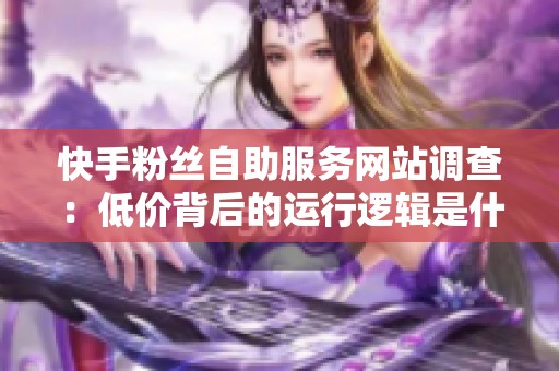 快手粉丝自助服务网站调查：低价背后的运行逻辑是什么？