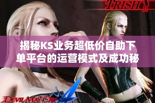 揭秘KS业务超低价自助下单平台的运营模式及成功秘诀