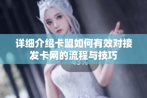 详细介绍卡盟如何有效对接发卡网的流程与技巧 详细介绍卡盟如何有效对接发卡网的流程与技巧