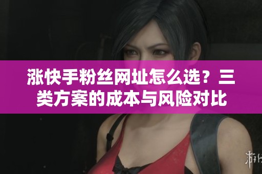 涨快手粉丝网址怎么选?三类方案的成本与风险对比 涨快手粉丝网址怎么选?三类方案的成本与风险对比